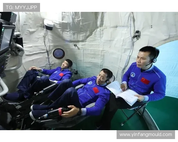 刘军专访揭秘乒乓球成功背后的秘诀与训练方法