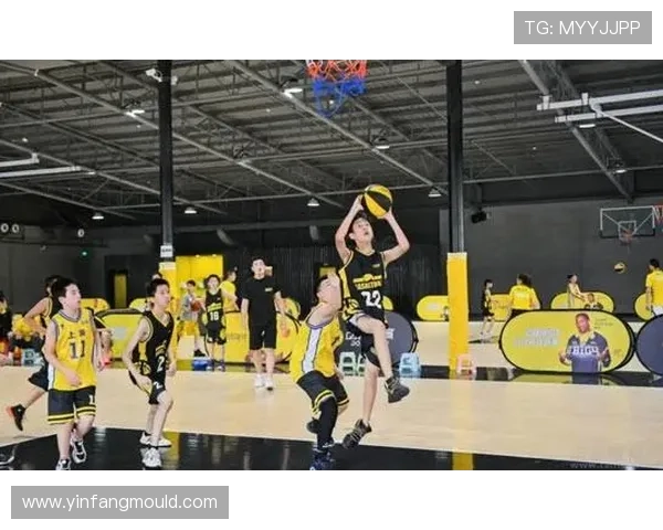 北京篮球队的拼搏历程与荣耀时刻全景回顾 北京篮球队的拼搏历程与荣耀时刻全景回顾