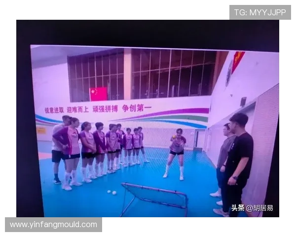北京排球队迎来速度革命引发热议与期待