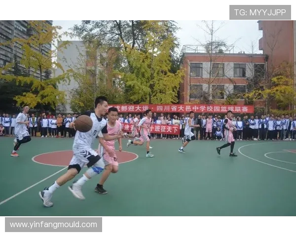 李伟的篮球人生深度对话探索梦想与坚持的力量 李伟的篮球人生深度对话探索梦想与坚持的力量