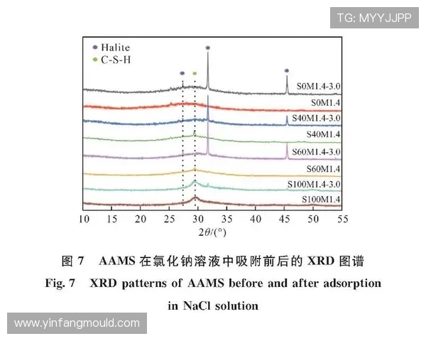深圳网球队快攻战术分析及其对比赛结果的影响探讨 深圳网球队快攻战术分析及其对比赛结果的影响探讨